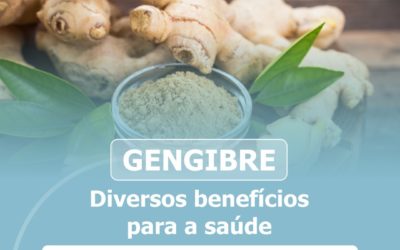 Gengibre: Diversos benefícios para a saúde